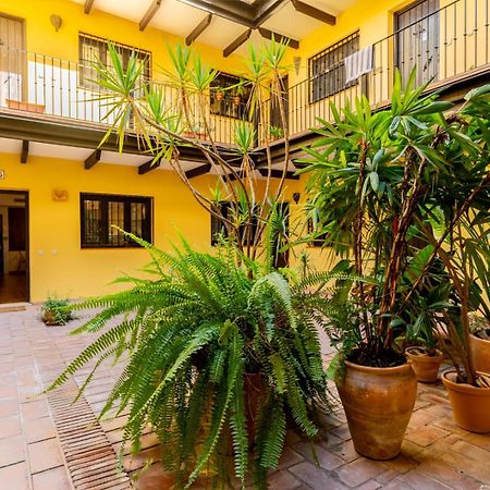 Loft En El Corral Del Horno Apartment Seville Exterior photo