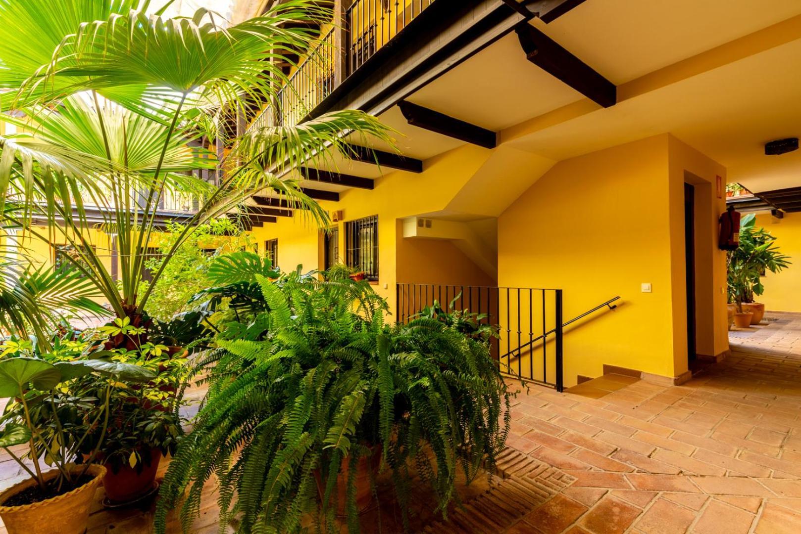 Loft En El Corral Del Horno Apartment Seville Exterior photo